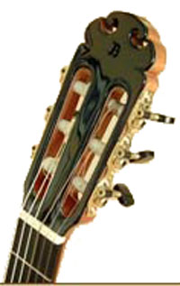 koa-2.jpg